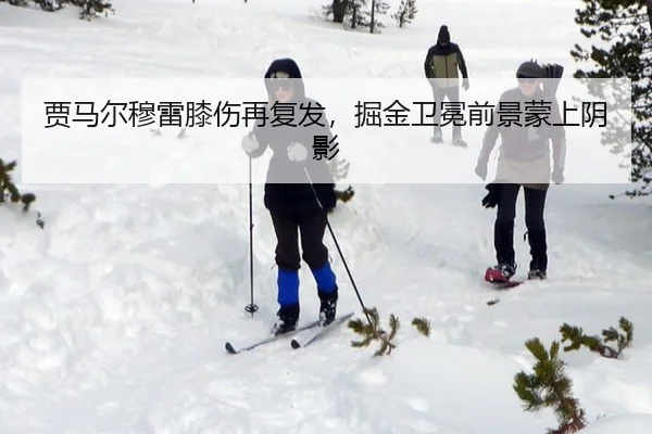 gu-ma-er-mu-lei-xi-shang-zai-fu-fa-jue-jin-wei-mian-qian-jing-meng-shang-yin-ying-2-334.jpg